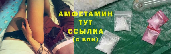 индика Волосово