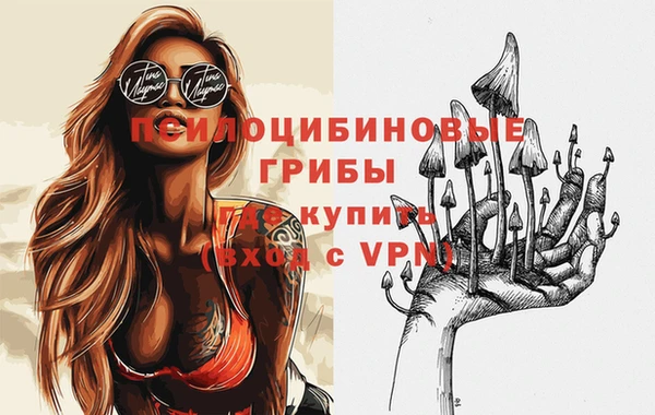 индика Волосово