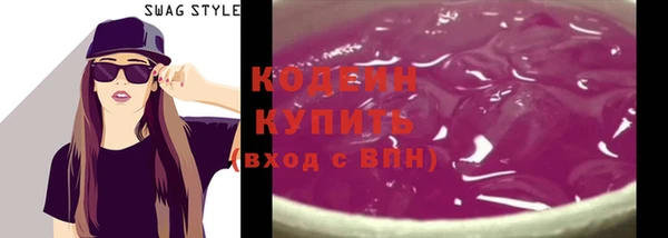 индика Волосово
