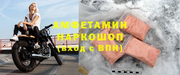 индика Вязьма