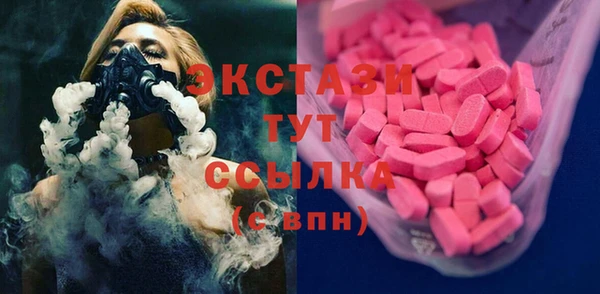 индика Вязьма