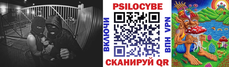 Псилоцибиновые грибы Magic Shrooms  Купить где  Жуковка 